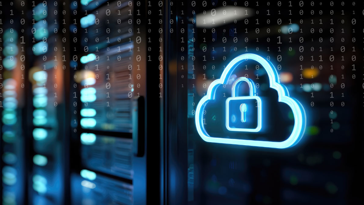 Hybrid deployment for strict privacy requirements